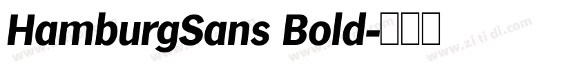 HamburgSans Bold字体转换